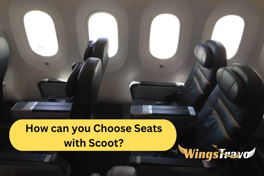 How can you Choose Seats with Scoot_20257905032.webp
